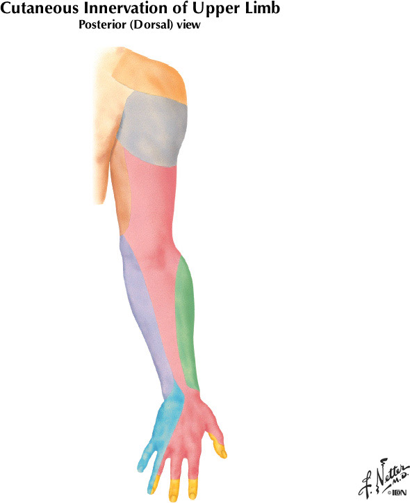 %_tempFileNameFigureII.19B%