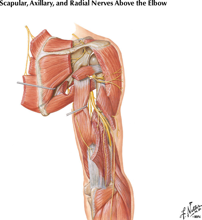 %_tempFileNameFigureII.20%