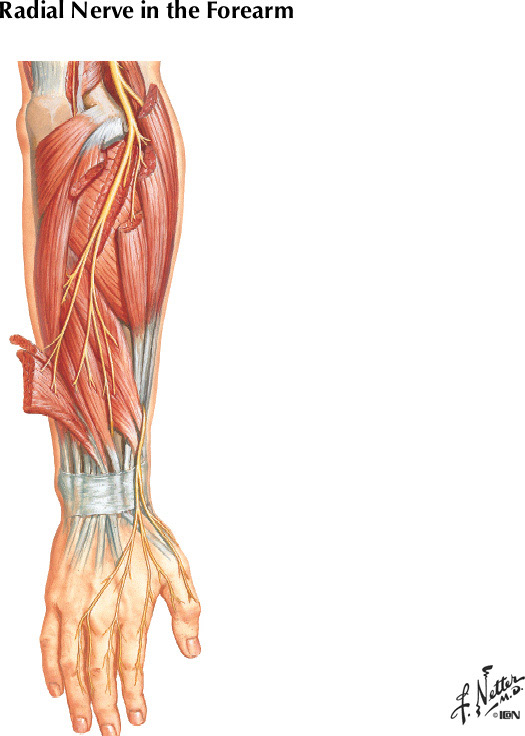 %_tempFileNameFigureII.21A%