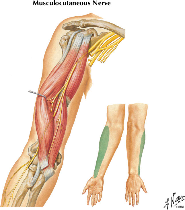 %_tempFileNameFigureII.22%