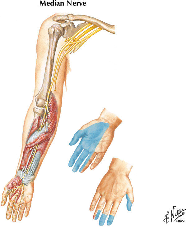 %_tempFileNameFigureII.23%