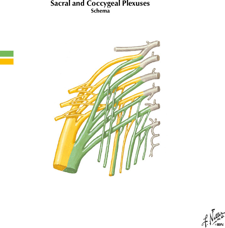 %_tempFileNameFigureII.26A%
