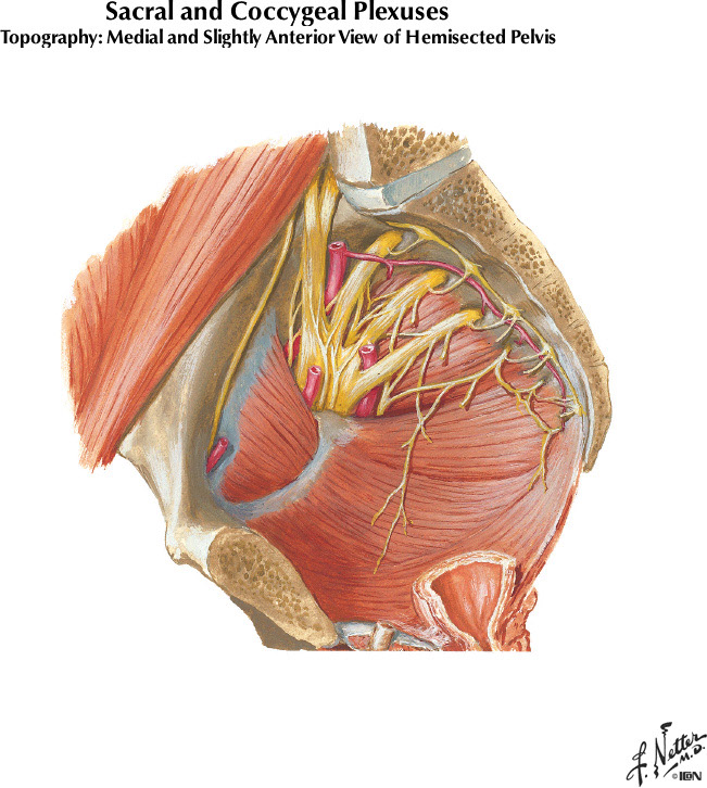 %_tempFileNameFigureII.26B%