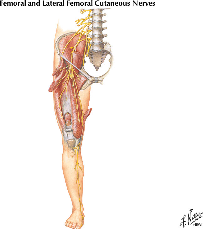 %_tempFileNameFigureII.27A%