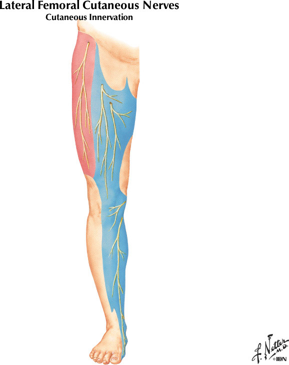 %_tempFileNameFigureII.27B%