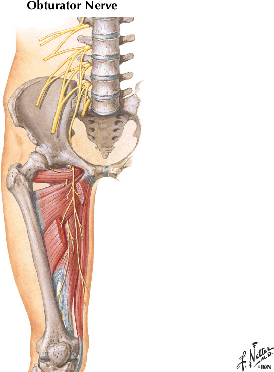 %_tempFileNameFigureII.28A%