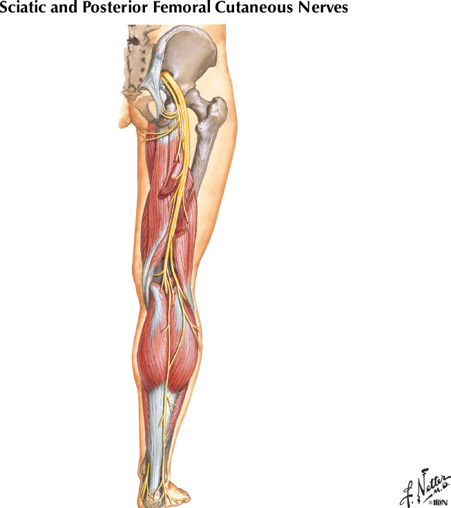 %_tempFileNameFigureII.29A%