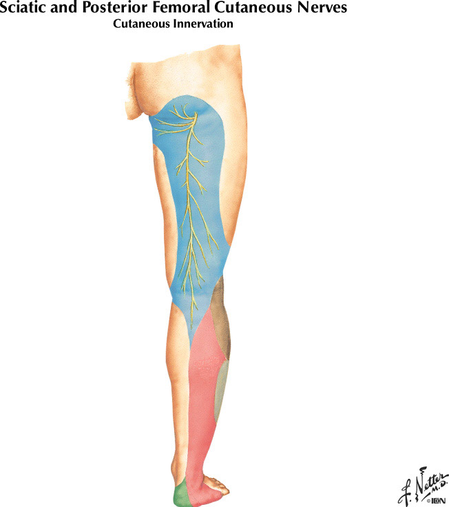 %_tempFileNameFigureII.29B%