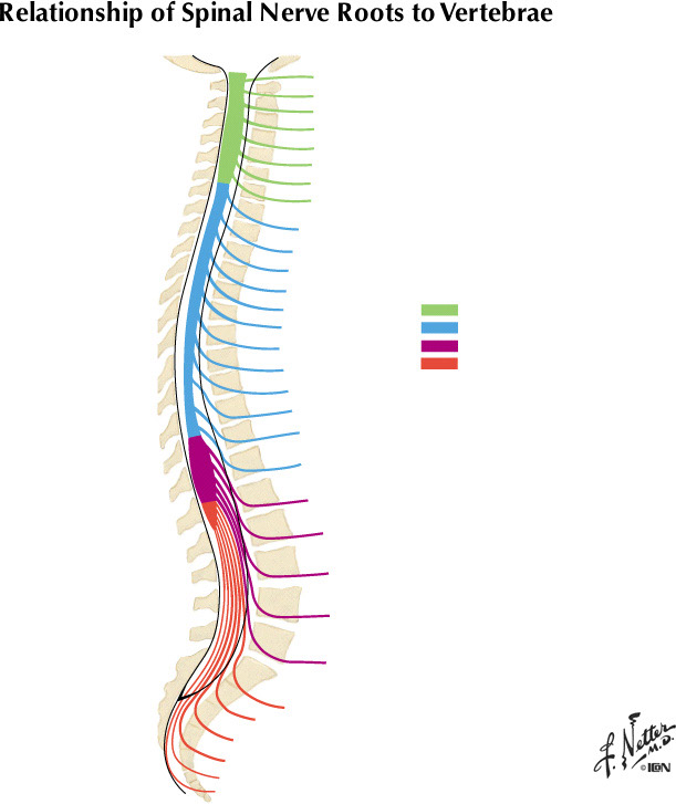 %_tempFileNameFigureII.2A%