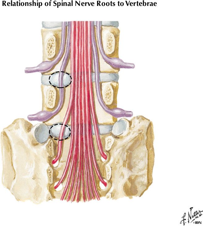 %_tempFileNameFigureII.2B%