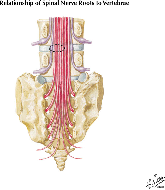 %_tempFileNameFigureII.2C%