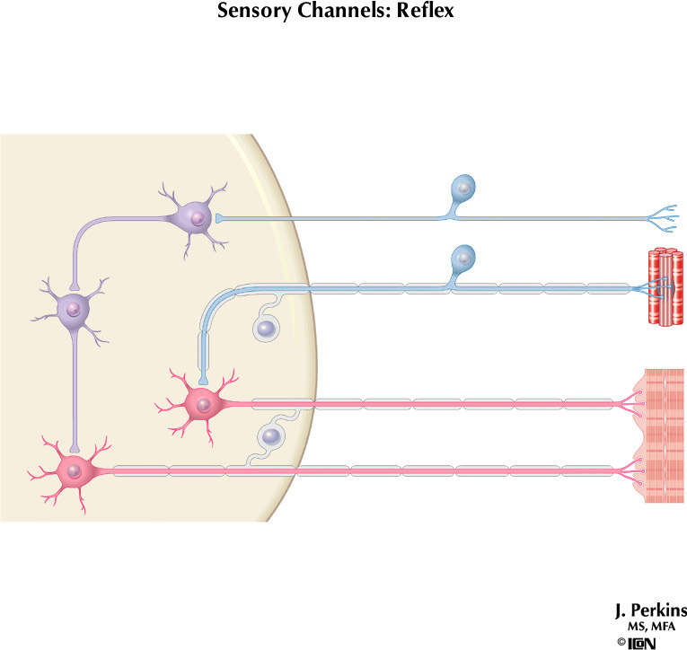 %_tempFileNameFigureII.3%