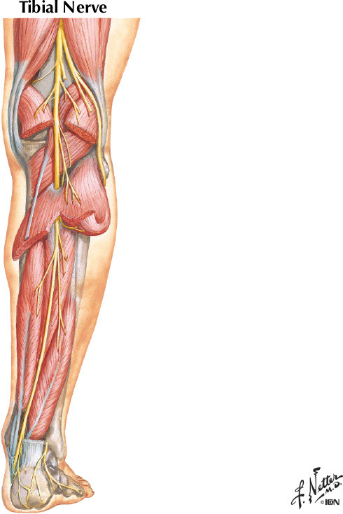 %_tempFileNameFigureII.30A%