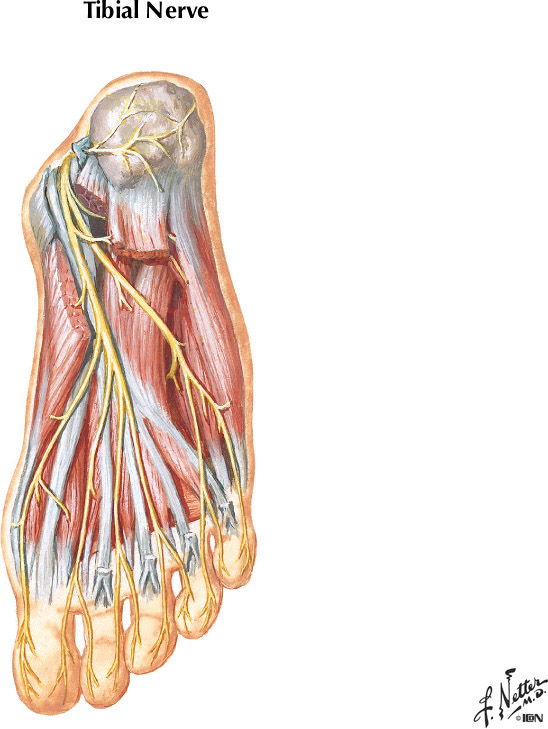 %_tempFileNameFigureII.30B%