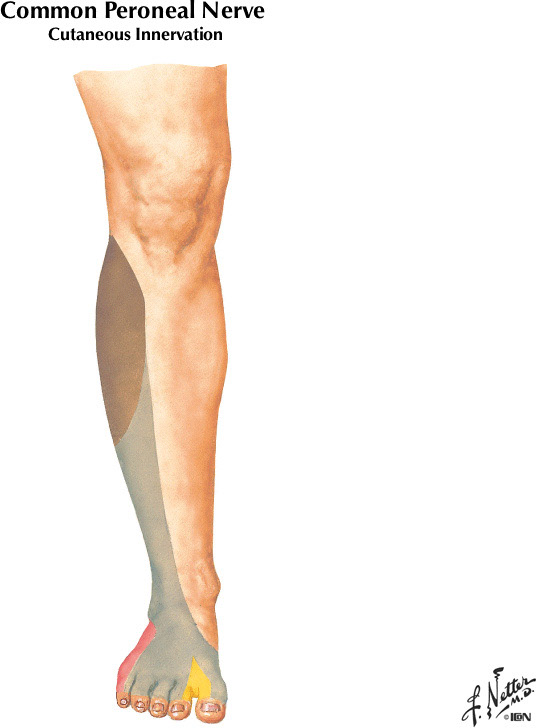 %_tempFileNameFigureII.31B%