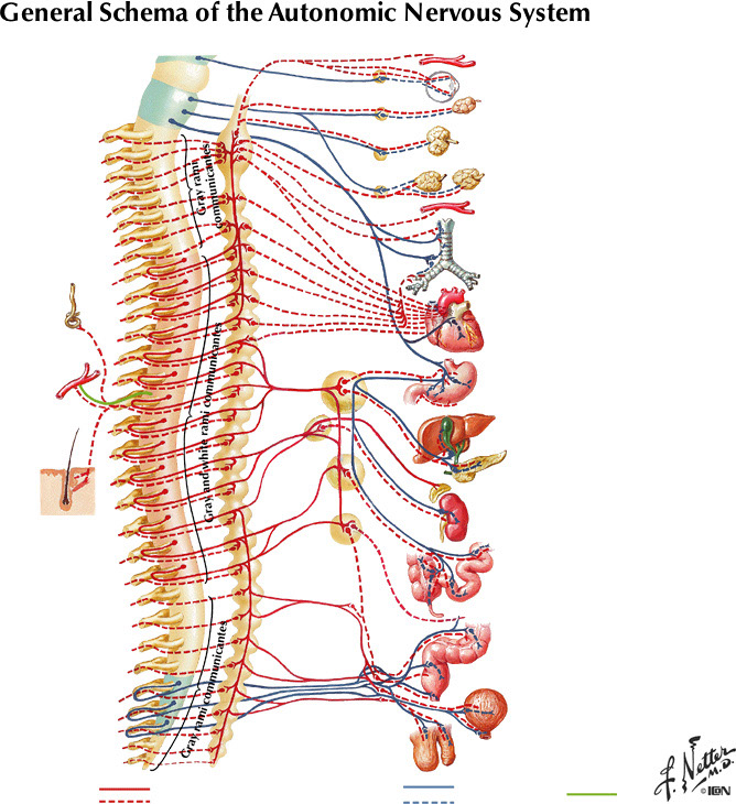 %_tempFileNameFigureII.32%