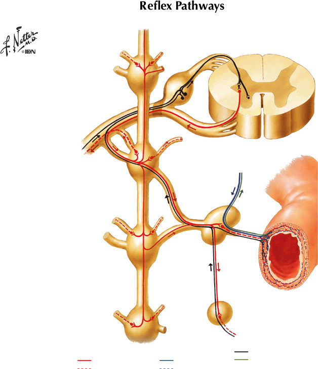 %_tempFileNameFigureII.34%