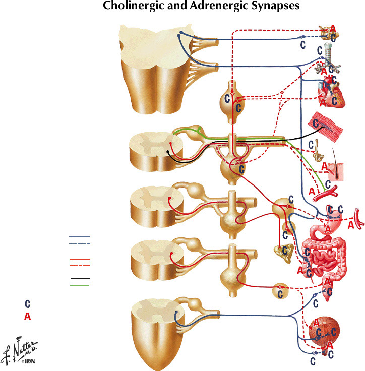 %_tempFileNameFigureII.35%