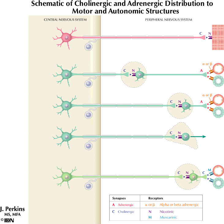 %_tempFileNameFigureII.36%