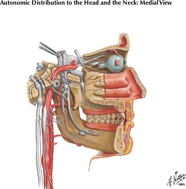 %_tempFileNameFigureII.37%