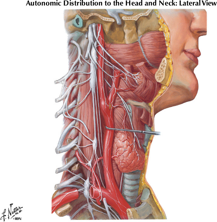 %_tempFileNameFigureII.38%