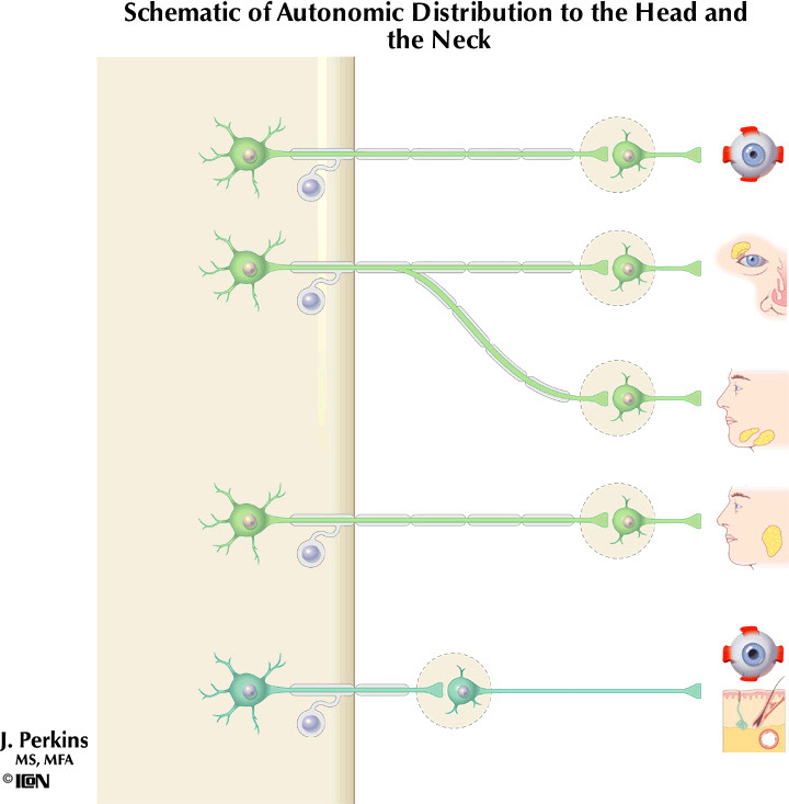 %_tempFileNameFigureII.39%