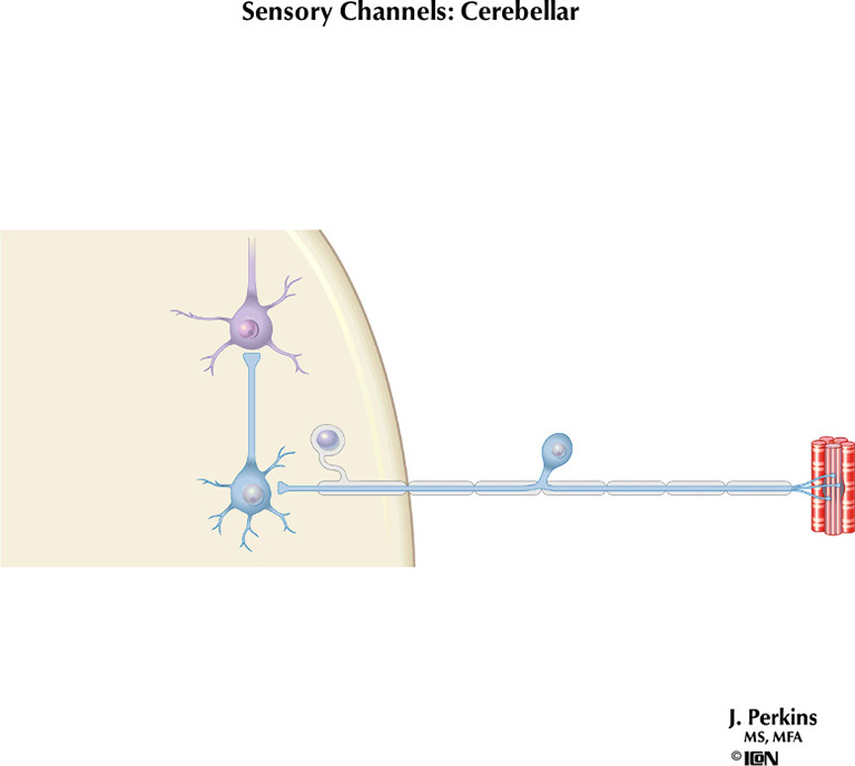 %_tempFileNameFigureII.4%