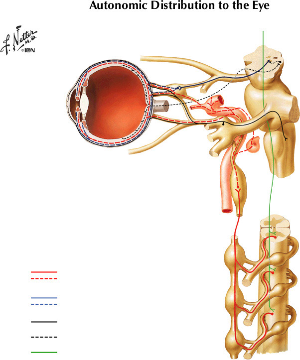 %_tempFileNameFigureII.40%