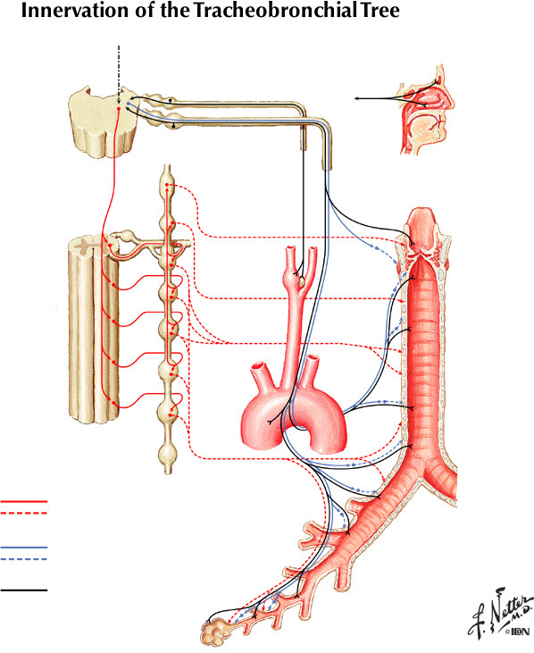 %_tempFileNameFigureII.43%