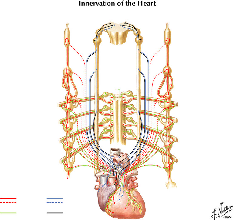 %_tempFileNameFigureII.44%