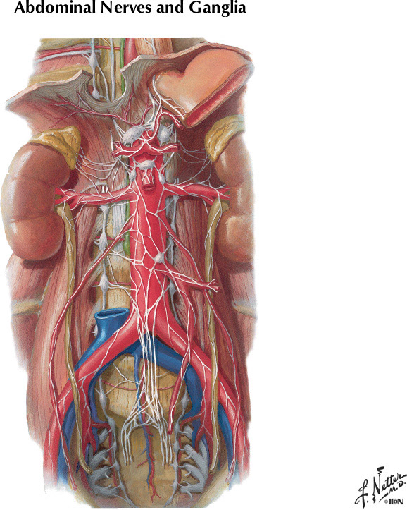 %_tempFileNameFigureII.45%