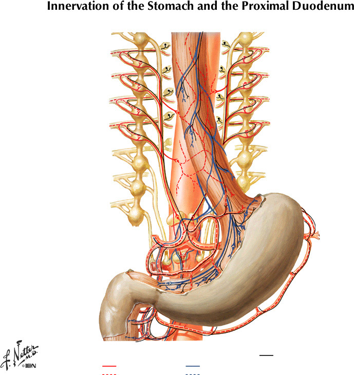 %_tempFileNameFigureII.46%