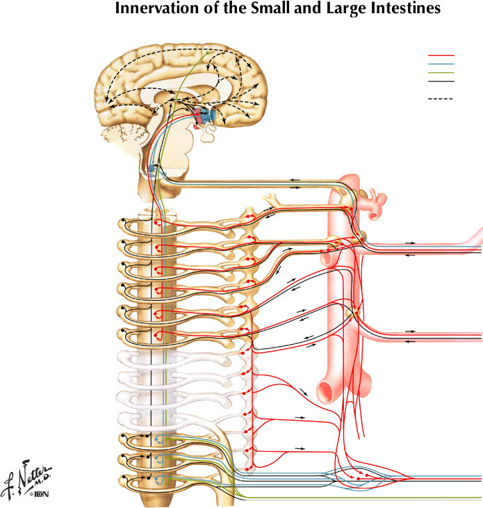 %_tempFileNameFigureII.47A%
