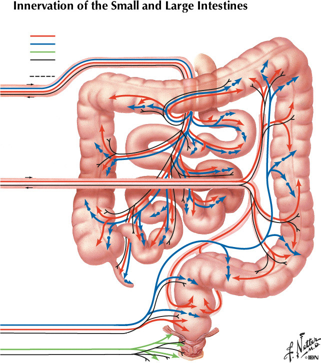 %_tempFileNameFigureII.47B%