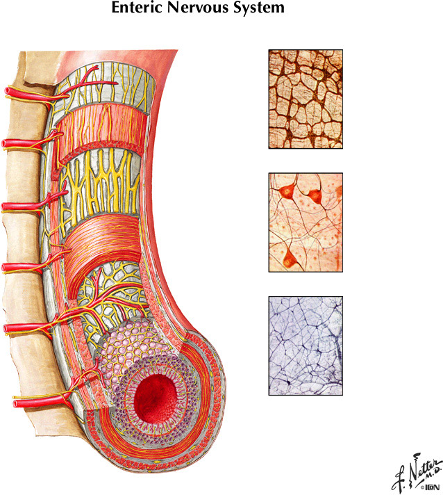 %_tempFileNameFigureII.48%