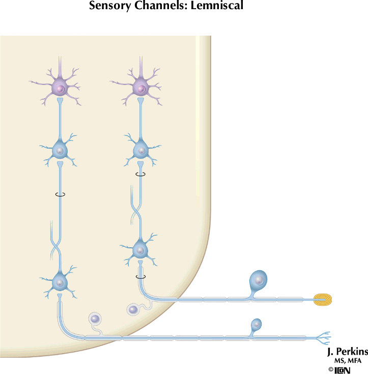%_tempFileNameFigureII.5%