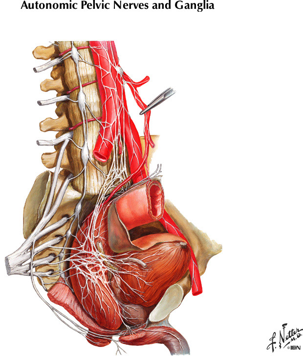 %_tempFileNameFigureII.52%