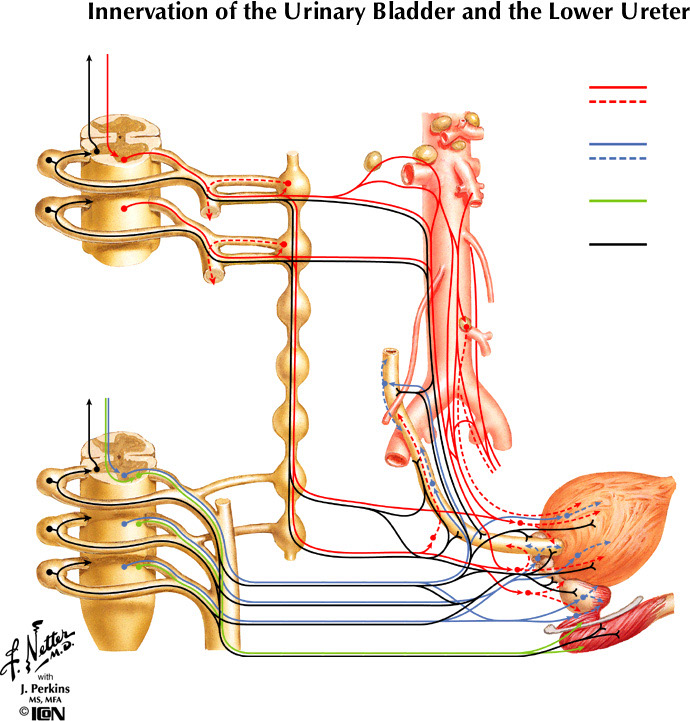 %_tempFileNameFigureII.54%