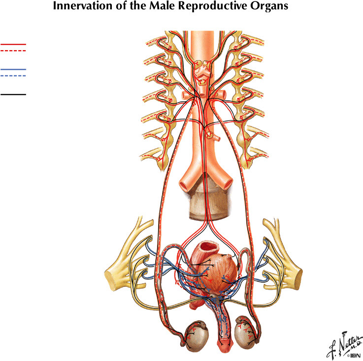 %_tempFileNameFigureII.55%