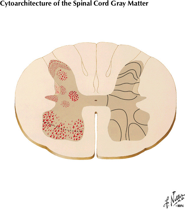 %_tempFileNameFigureII.57%