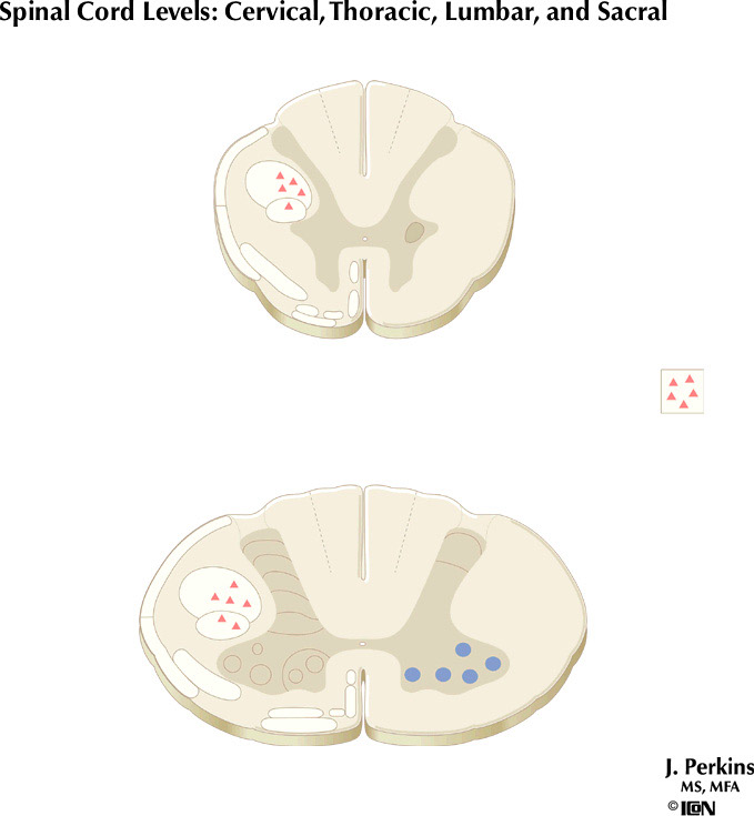 %_tempFileNameFigureII.58A%