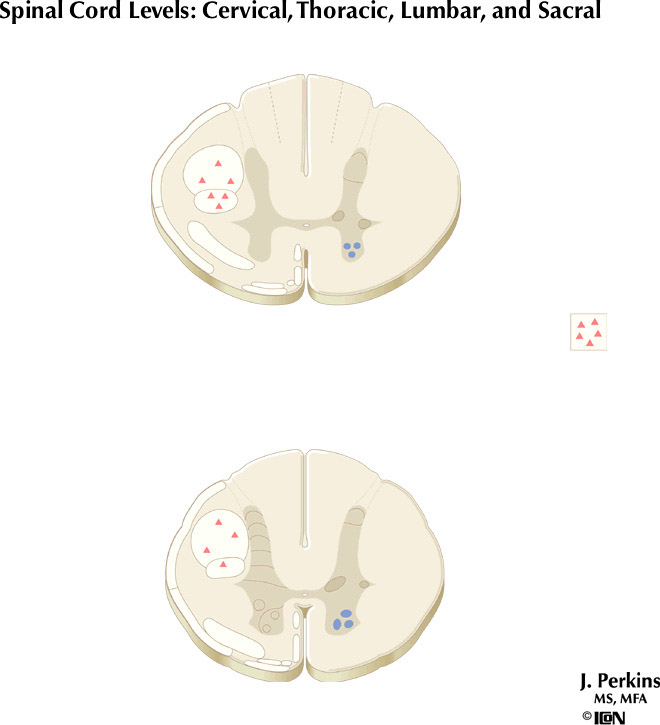 %_tempFileNameFigureII.58B%