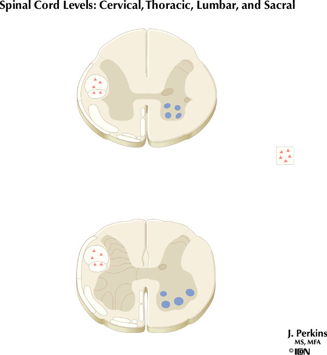 %_tempFileNameFigureII.58C%
