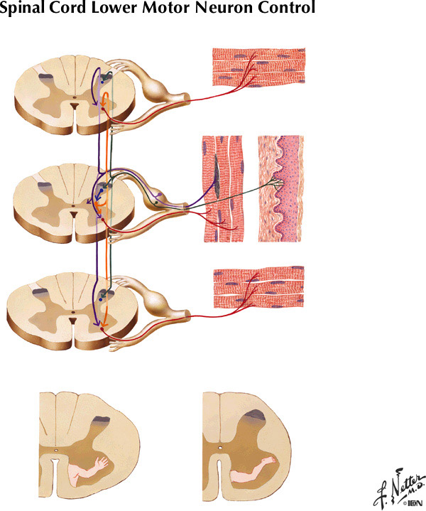 %_tempFileNameFigureII.59%