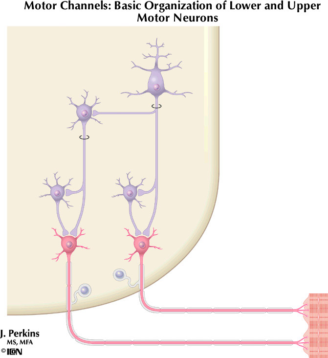 %_tempFileNameFigureII.6%