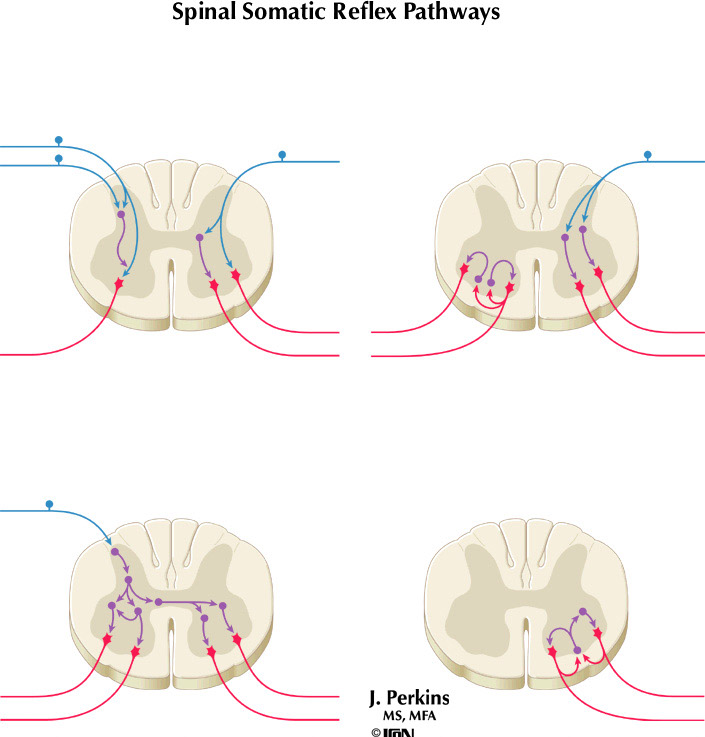 %_tempFileNameFigureII.60%