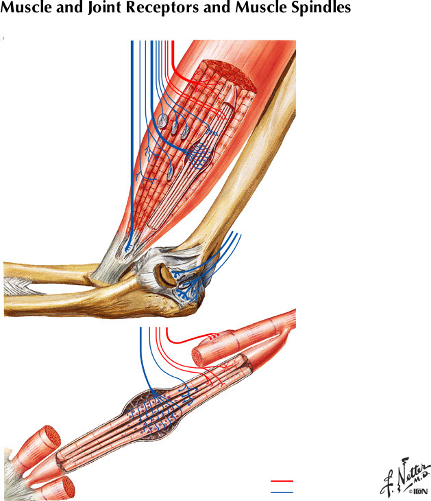 %_tempFileNameFigureII.61%