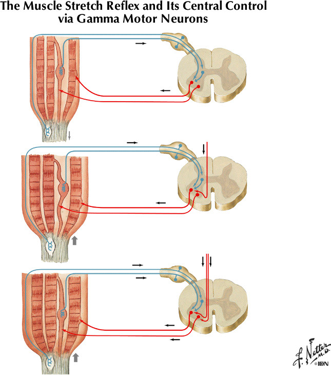 %_tempFileNameFigureII.62%