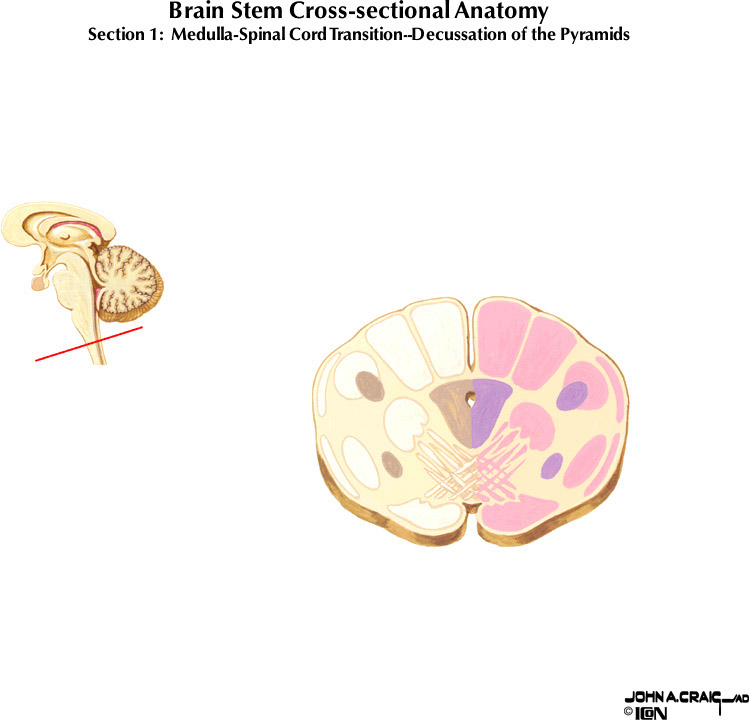 %_tempFileNameFigureII.63.1%