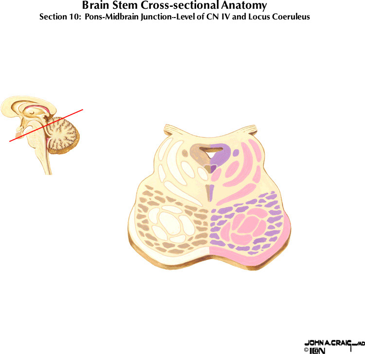 %_tempFileNameFigureII.63.10%